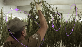 ¿Drogas o sustancias psicoactivas?: 4 claves para narrar con precisión