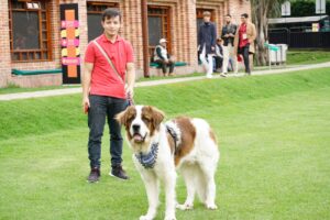 Thumbnail of 